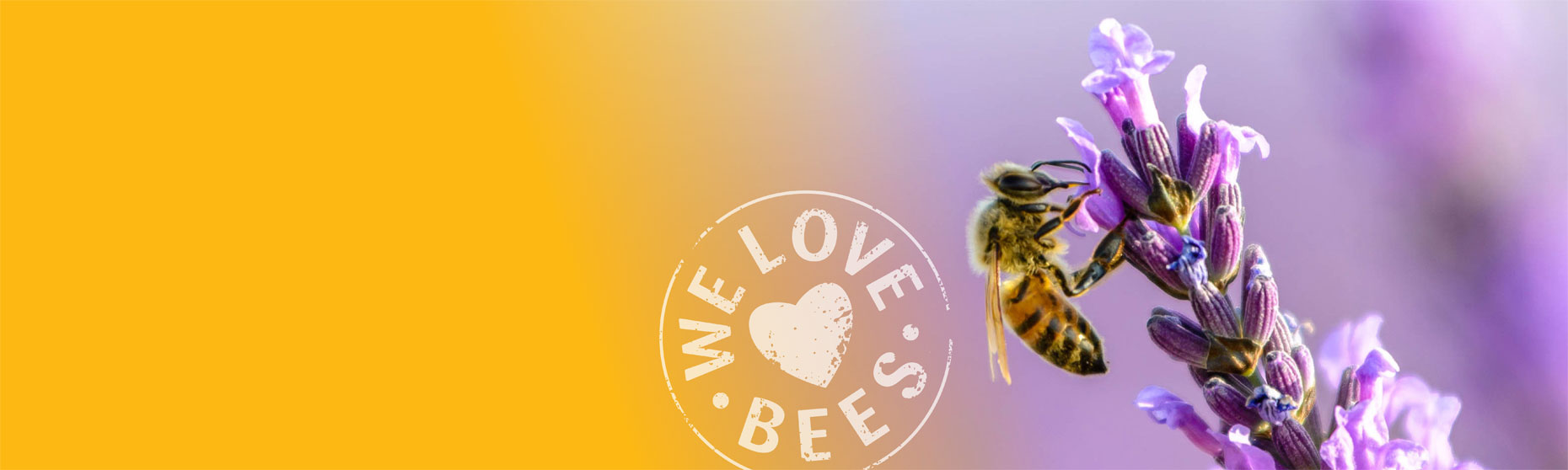 Amazing facts about Bees and Honey