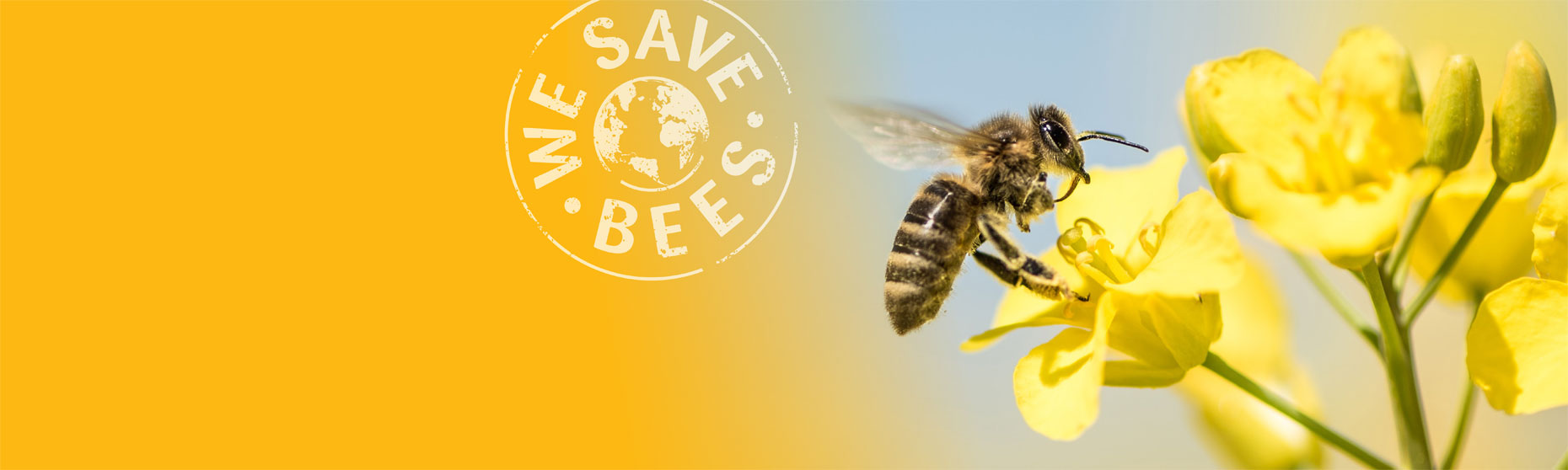 Facts that threaten UK honey bees