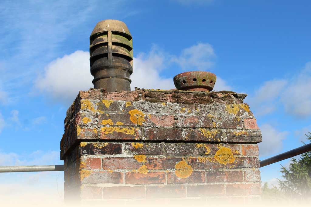 Honey Bee Removal from Chimney