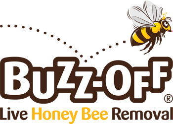 Buzz Off Live Honey Bee Removal